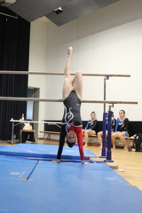 IMG 9482
